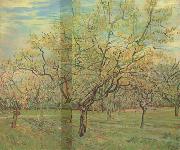 Vincent Van Gogh The White Orchard (nn04) Spain oil painting artist